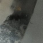 2952ECE0-FA80-4876-9458-D70EC93EABC8.jpeg