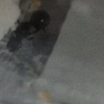 08CB2799-7204-4950-822D-EE1BAF6FD3CD.jpeg