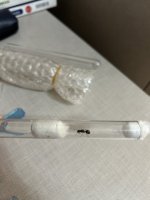 IMG_0474.jpeg
