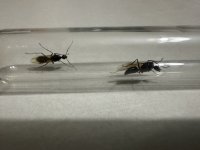 IMG_1880.jpeg