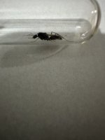 IMG_1879.jpeg