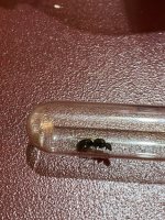 IMG_0029.jpeg