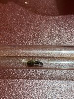 IMG_0030.jpeg