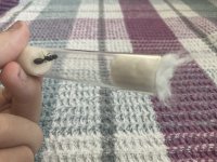IMG_0760.jpeg