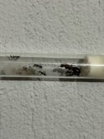 IMG_0297.jpeg