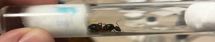 IMG_3221.jpeg