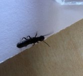 IMG_5758.jpeg