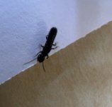 IMG_5757.jpeg