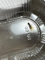 IMG_0837.jpeg