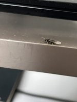 IMG_0836.jpeg