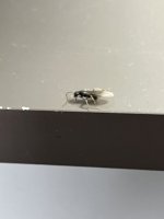 IMG_0834.jpeg