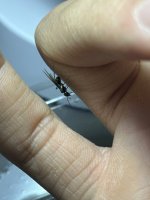 IMG_0831.jpeg