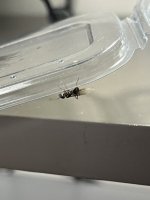 IMG_0830.jpeg