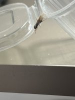 IMG_0829.jpeg