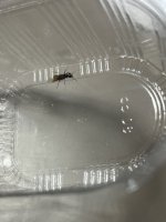 IMG_0828.jpeg