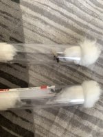 IMG_5337.jpeg