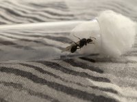 IMG_5339.jpeg
