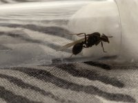 IMG_5340.jpeg