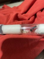 IMG_6664.jpeg