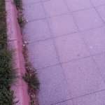 20250418_195007.jpg