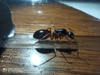 IMG_20250418_212340.jpg