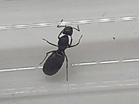 20250418_224703.jpg