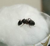 IMG_20250419_005445.jpg