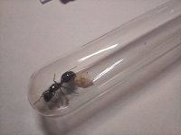20250419_193028.jpg