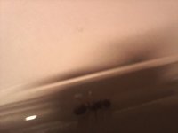 20250419_192716.jpg
