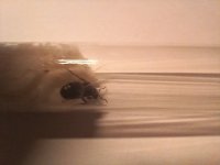20250419_192744.jpg