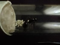 IMG20250420101646.jpg