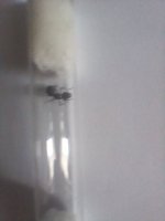 20250420_151543.jpg