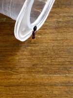 IMG_0253.jpeg