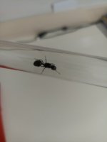 IMG_20250420_175618.jpg