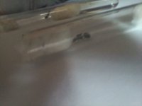 20250420_151844.jpg