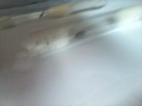 20250420_151845.jpg