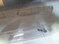 20250420_151656.jpg