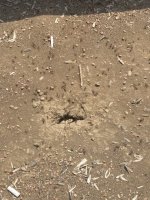 IMG_3554.jpeg