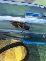 IMG_6596.jpeg