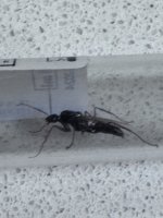 IMG_4089.jpeg