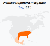 1745339380577.png