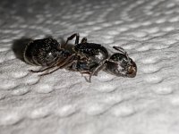 IMG_20250423_005913.jpg