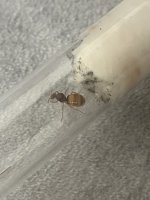 IMG_6761.jpeg