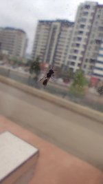 IMG_20250423_112517.jpg