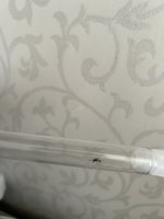 IMG_0534.jpeg