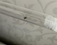 IMG_0535.jpeg