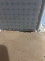 IMG_9943.jpeg