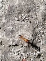 IMG_20250423_211118.jpg