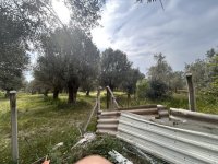 IMG_9959.jpeg
