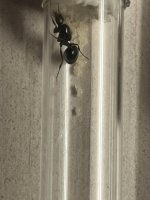 IMG_8898.jpeg